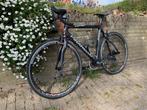 Pinarello FP2 racefiets - Carbon frame, Campagnolo wielen, Ophalen, Gebruikt, Overige typen