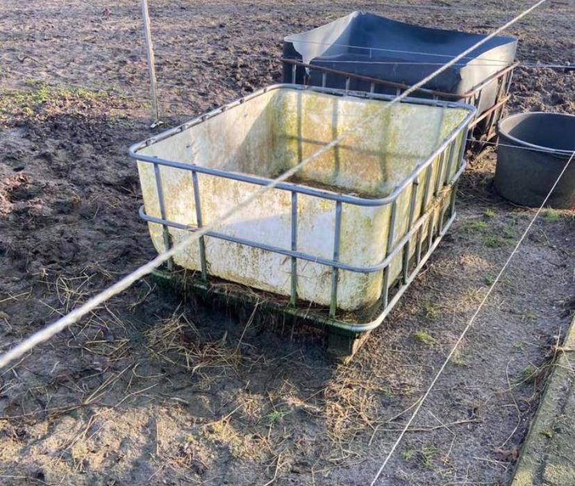 voerbakken, Ophalen of Verzenden