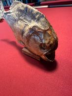 Piranha Venezuela, Ophalen, Beeldje of Figuurtje