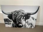 Canvas schotse hooglander €5,- afhaal, Ophalen, Zo goed als nieuw, 50 tot 75 cm, Schilderij