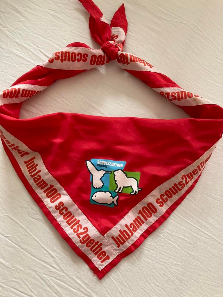 Diverse scouting dassen, Verzamelen, Scouting, Ophalen of Verzenden, Zo goed als nieuw, Pet, Hoed of Sjaal