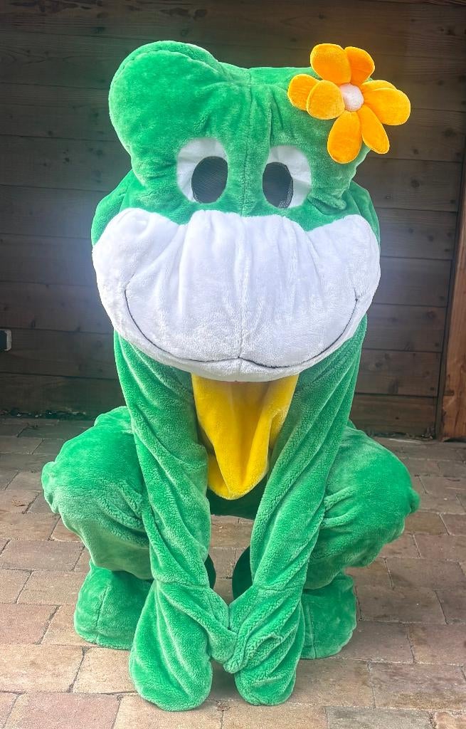 huur mascotte kostuum voor feestje party of verrassing kids, Ophalen of Verzenden, Zo goed als nieuw, Overige