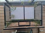 Aluminium broedkooi, vogel kooi. Zwart en zwart gaas., Ophalen, Kunststof, Broedkooi of Kweekkooi