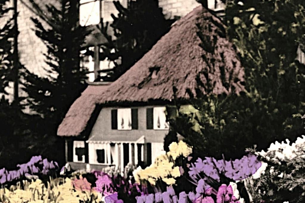 914499 Bovenkarspel NH 1958 West Friese Flora Gelopen, Verzamelen, Ansichtkaarten | Nederland, Ophalen of Verzenden, 1940 tot 1960