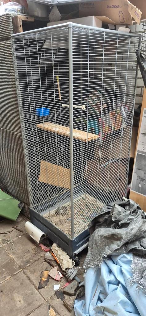 Vogelkooi, Dieren en Toebehoren, Vogels | Hokken en Kooien, Ophalen, Gebruikt, Metaal, Vogelkooi