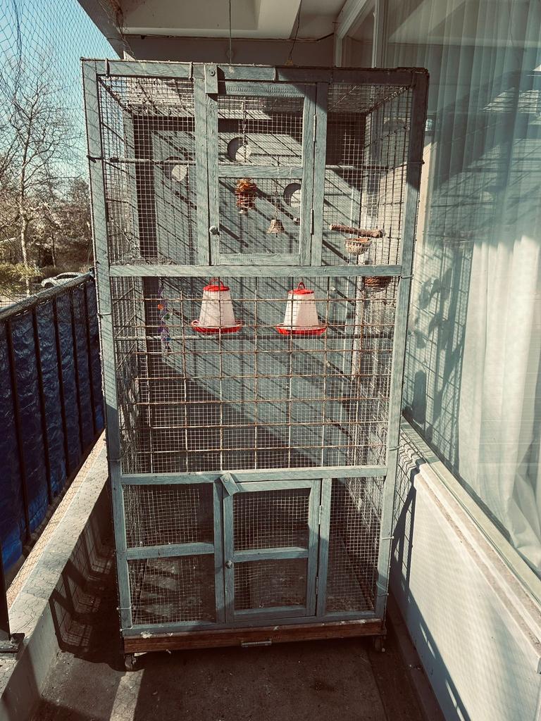 Groete buiten vogelkooi / volière, Dieren en Toebehoren, Vogels | Hokken en Kooien, Ophalen, Gebruikt, Metaal, Vogelkooi
