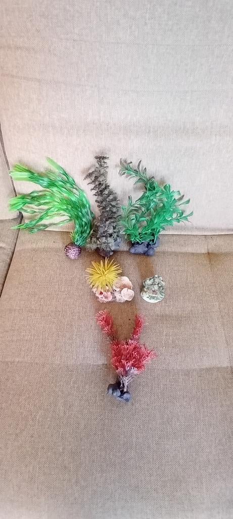 Aquarium  toebehoren, Ophalen, Gebruikt, Decoratie