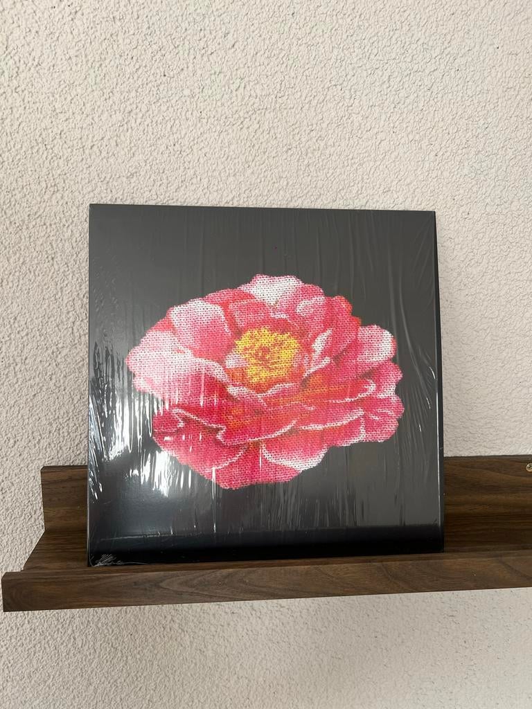 Post malone nirvana tribute vinyl., Inclusief poster, 2020 tot heden, Ophalen of Verzenden, 12 inch