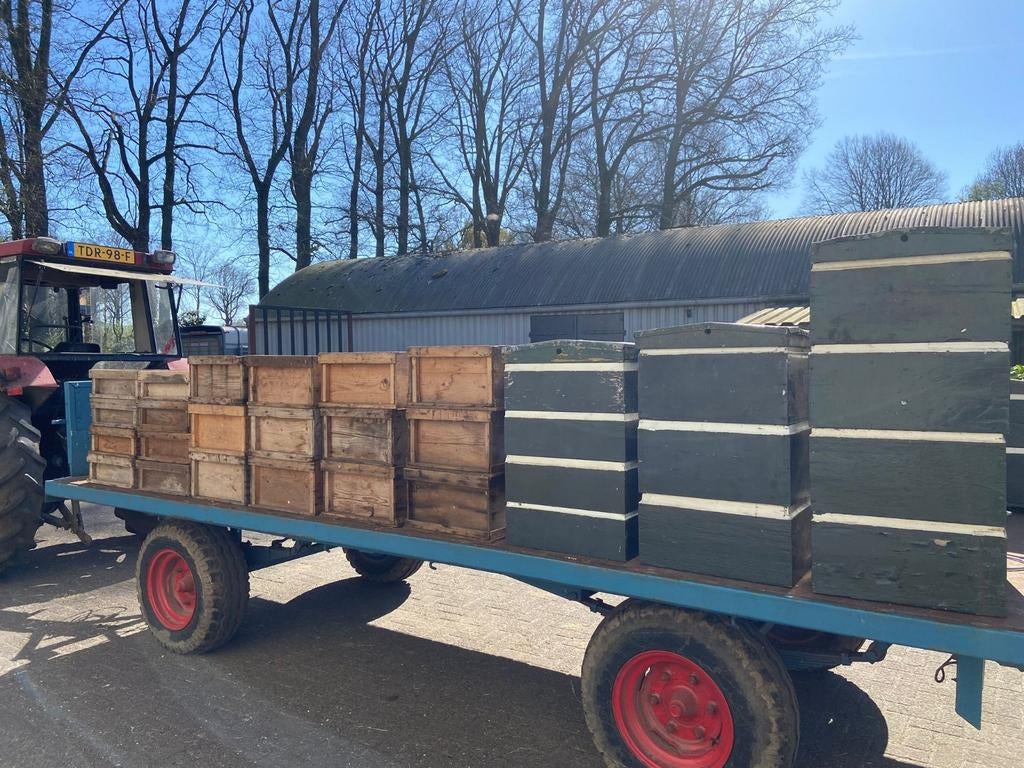 Bijenkasten en slinger te koop, Dieren en Toebehoren, Insecten en Spinnen, Bijen