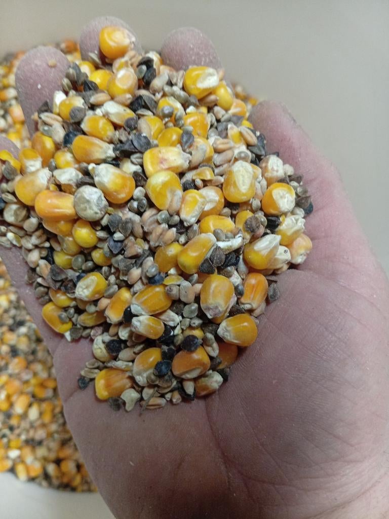 Karpervoer mix, Watersport en Boten, Hengelsport | Karpervissen, Nieuw, Overige typen, Ophalen of Verzenden