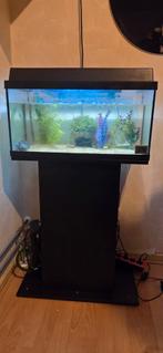 Aqarium 80x40 met lamp 3 standen, Ophalen, Gebruikt, Verlichting of Verwarming