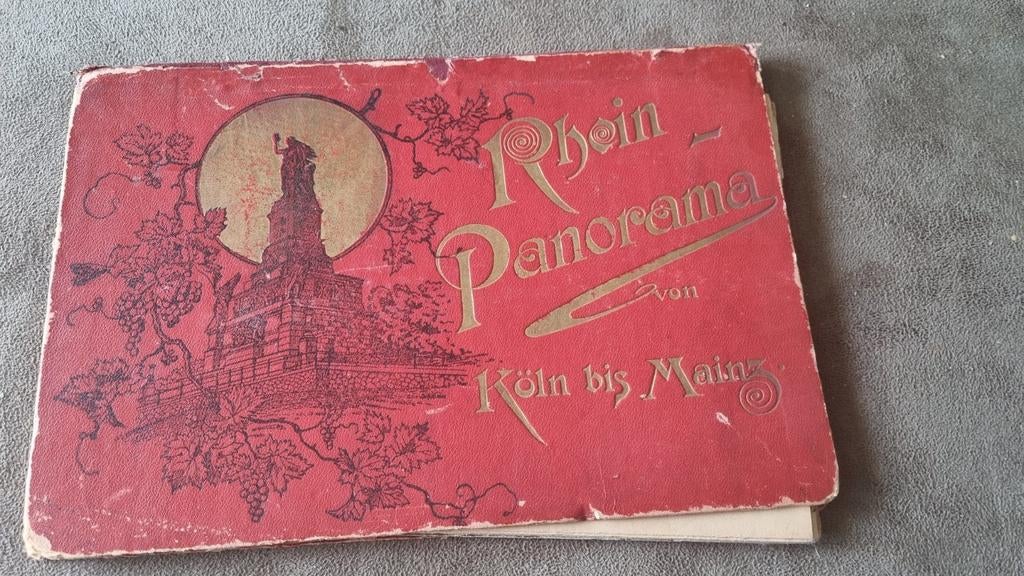 Oude Rijn Panoramakaart: Keulen tot Mainz, Boeken, Reisgidsen, Europa, Ophalen of Verzenden, Reisgids of -boek, Gelezen