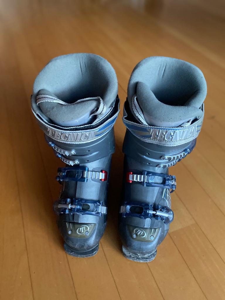 Skischoenen Technica maat 295 mm ( mt. 39,5-40,00), Overige merken, 160 tot 180 cm, Gebruikt, Schoenen