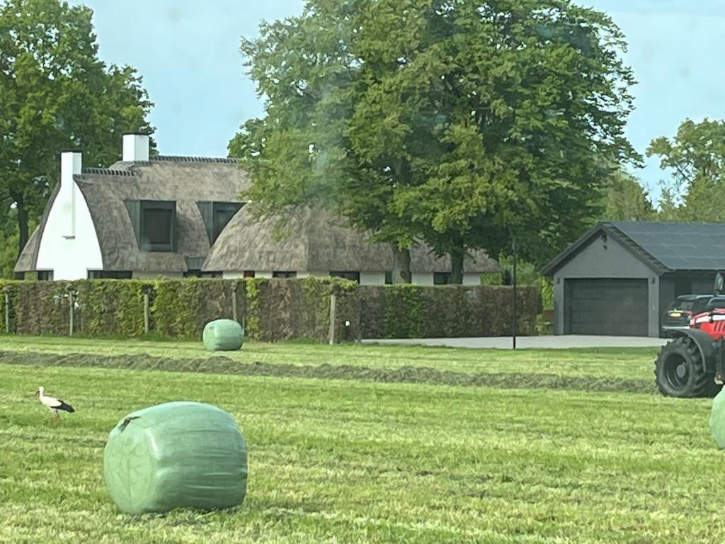 Ronde gewikkelde pakken hooi, oogst 2026, eerste snede, Dieren en Toebehoren, Dierenvoeding, Ophalen