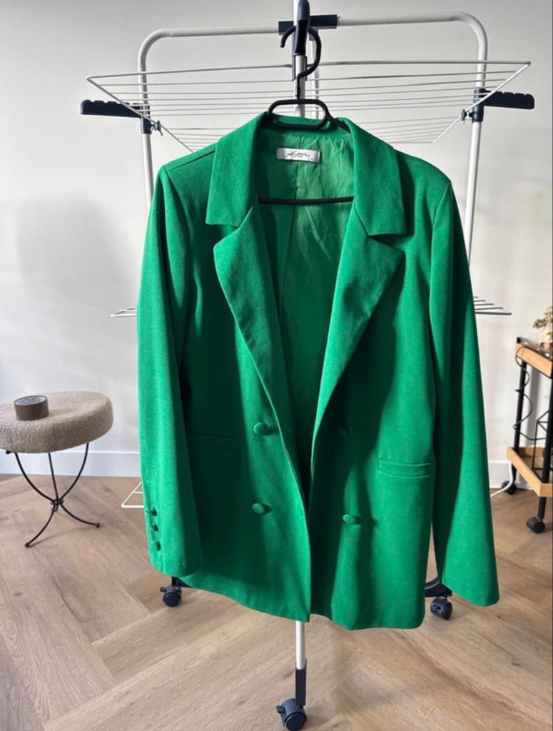 Ambika Groene Blazer - Stijlvol en Comfortabel, Maat 42/44 (L), Ophalen of Verzenden, Zo goed als nieuw, Jasje