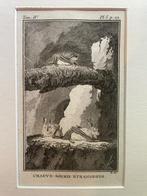 La Chauve souris etrangeres Vleermuis Buffon 1770, Antiek en Kunst, Ophalen of Verzenden