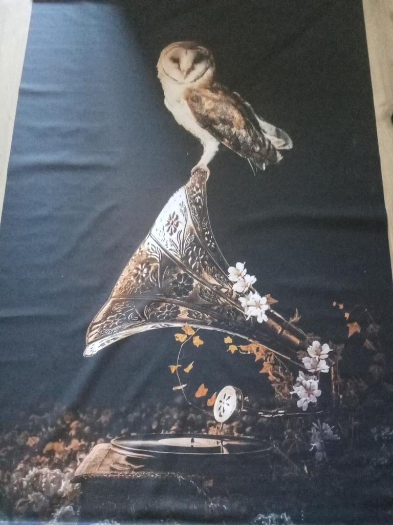 Groot wandkleed Poster Junkie uil op grammofoon 120x176cm, Huis en Inrichting, Woonaccessoires | Wanddecoraties, Meerkleurig, Ophalen of Verzenden