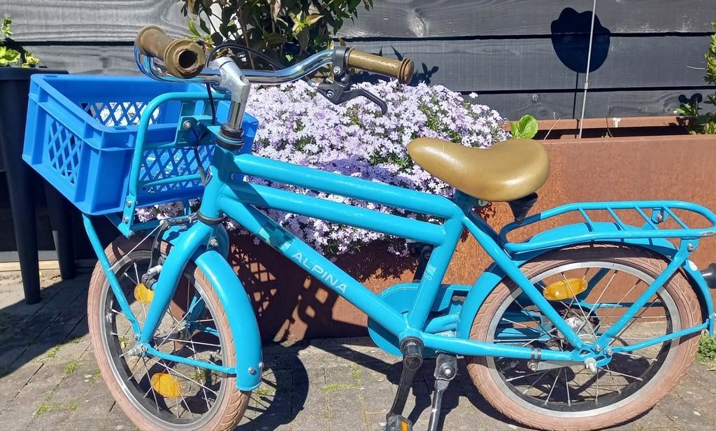 Alpina Cargo jongensfiets 16 inch, Fietsen en Brommers, Fietsen | Jongens, Ophalen, Gebruikt, 16 inch, Alpina Cargo