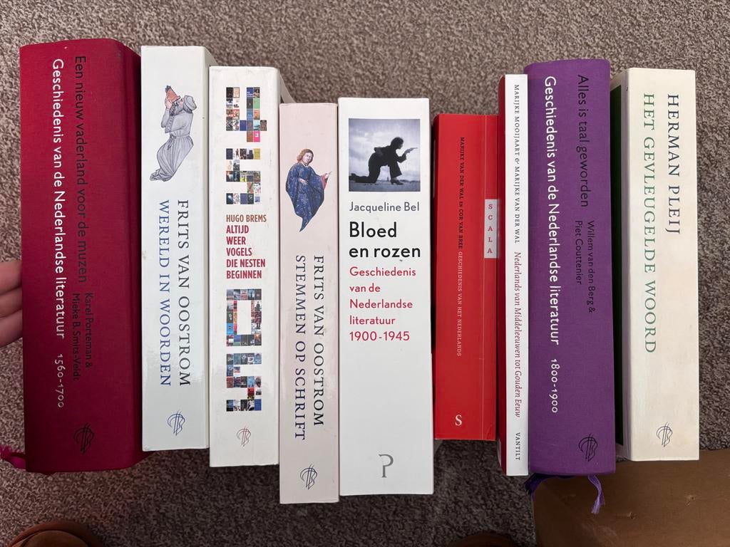 10 boeken over de Nederlandse literatuurgeschiedenis, Ophalen of Verzenden, Zo goed als nieuw, Nederland