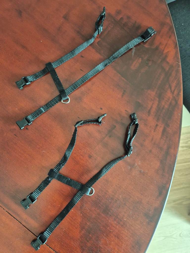 Kitten tuigje 2x, Dieren en Toebehoren, Ophalen