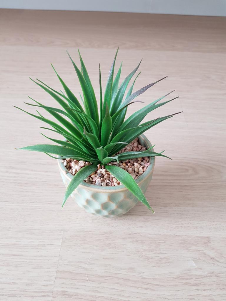 Leuke plant, Ophalen of Verzenden, Nieuw, Kunstplant