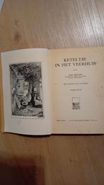 Boek Keteltje oud leesboek, Boeken, Schoolboeken, Ophalen of Verzenden, Gelezen, Overige niveaus