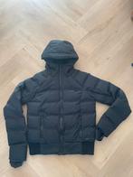 Skijas Protest - dames - meisje, Ophalen of Verzenden, Zo goed als nieuw, Maat 38/40 (M), Jack