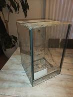 25*25*40 terrarium, Dieren en Toebehoren, Reptielen en Amfibieën | Toebehoren, Ophalen, Gebruikt, Terrarium of Paludarium
