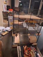 Gerbil / hamster hok te koop, Dieren en Toebehoren, Zo goed als nieuw, Ophalen, Minder dan 60 cm, Hok