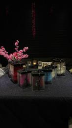 Rozen Beer - Perfect Valentijnscadeau!, Overige soorten, In pot, Minder dan 100 cm, Bloeiende kamerplant