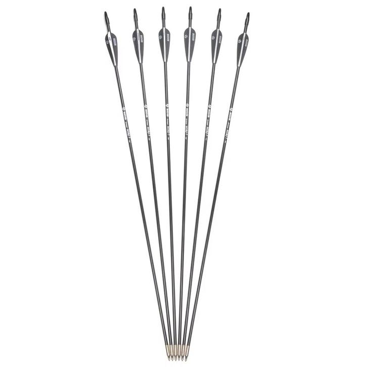 Glasvezel Pijlen Set / Boogschieten Pijl En Boog Hangboog, Sport en Fitness, Handboogschieten, Nieuw, Pijlen, Verzenden