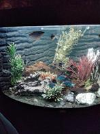Juwel hoek aqarium 190 liter, Dieren en Toebehoren, Vissen | Aquaria en Toebehoren, Ophalen, Zo goed als nieuw, Gevuld zoetwateraquarium