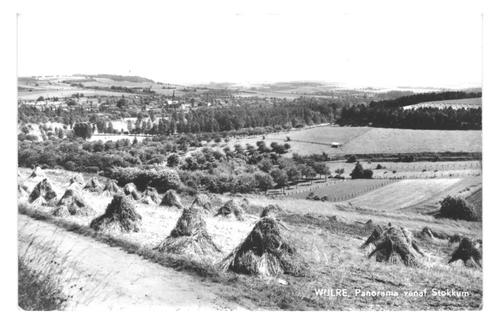 943439	Wijlre	Panorama	vanaf Stokkum	Korenschoven	Gelopen me, Verzamelen, Ansichtkaarten | Nederland, Limburg, Verzenden