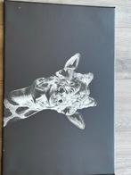 Canvas Schilderijen Set - Dierenmotieven 60x40cm, Huis en Inrichting, Ophalen of Verzenden, Zo goed als nieuw, Schilderij, Minder dan 50 cm