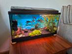 Mooi tropisch aquarium met nieuwe LED Lamp, Dieren en Toebehoren, Ophalen, Zo goed als nieuw, Leeg aquarium