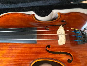 Viool voor kinderen (4-12 jaar) beschikbaar voor biedingen