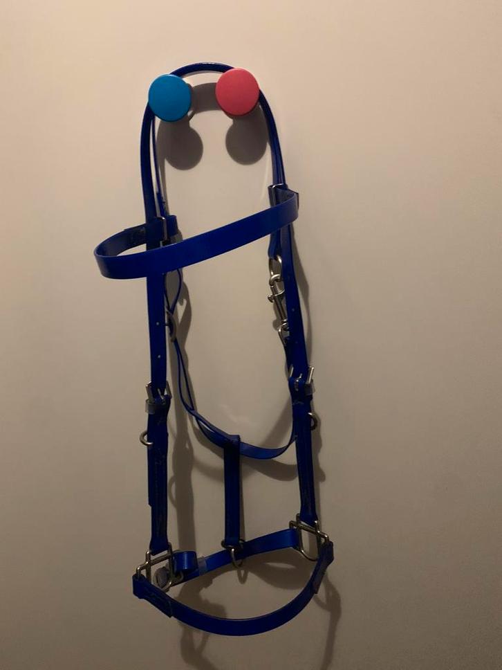 Bitloos hoofdstel maat m, Dieren en Toebehoren, Paarden en Pony's | Hoofdstellen en Tuigage, Zo goed als nieuw, Dressuur, Ophalen of Verzenden