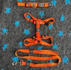 Rogz alpinist series, 4 kleuren beschikbaar, Ophalen of Verzenden, Zo goed als nieuw