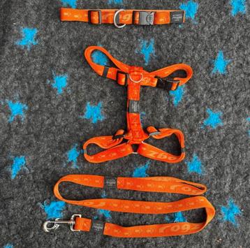 Rogz alpinist series, 4 kleuren beschikbaar beschikbaar voor biedingen