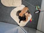 Leuke boerderij kittens te koop, Dieren en Toebehoren, Katten en Kittens | Overige Katten, Meerdere dieren, Kortharig, 0 tot 2 jaar