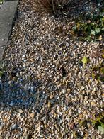 Gratis schelpen voor tuin, Ophalen of Verzenden