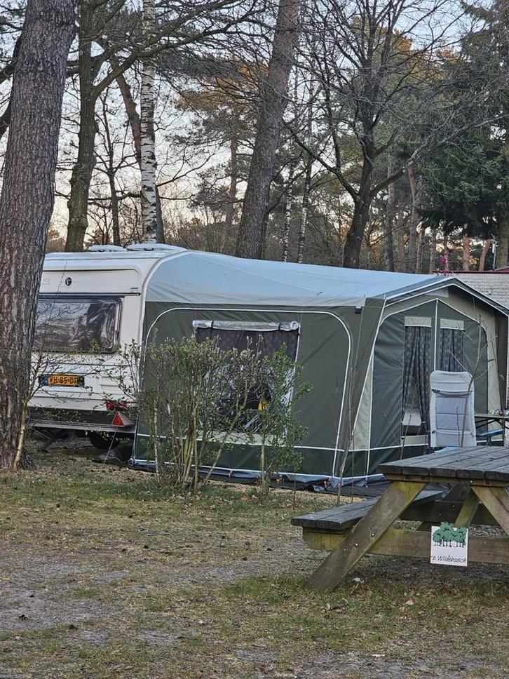 Dorema Voortent  + luifel  maat 5, Caravans en Kamperen, Voortenten en Luifels, Zo goed als nieuw, Dorema, Ophalen of Verzenden