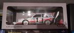 Audi cmr pikes peak, Hobby en Vrije tijd, Modelauto's | 1:18, Ophalen of Verzenden, Zo goed als nieuw