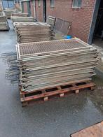 kalverhekjes hekken, Dieren en Toebehoren, Januari, Geslacht onbekend