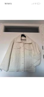 Structuurgeweven jas H&M NIEUW maat L, Ophalen of Verzenden, Zo goed als nieuw