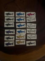 Paul & Shark Autostickers - Diverse Kleuren, Ophalen of Verzenden