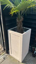 Set van 2 grote plantenbakken/ potten 120 euro, Kunststof, Gebruikt, Vierkant, Ophalen of Verzenden