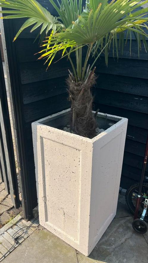 Set van 2 grote plantenbakken/ potten 120 euro, Tuin en Terras, Bloembakken en Plantenbakken, Gebruikt, Kunststof, Tuin, 60 cm of meer