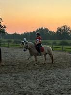 bijrijder aangeboden, Dieren en Toebehoren, Ophalen of Verzenden