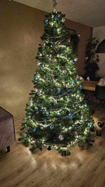 Prachtige kerstboom beschikbaar voor biedingen